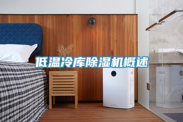 低温冷库除湿机概述