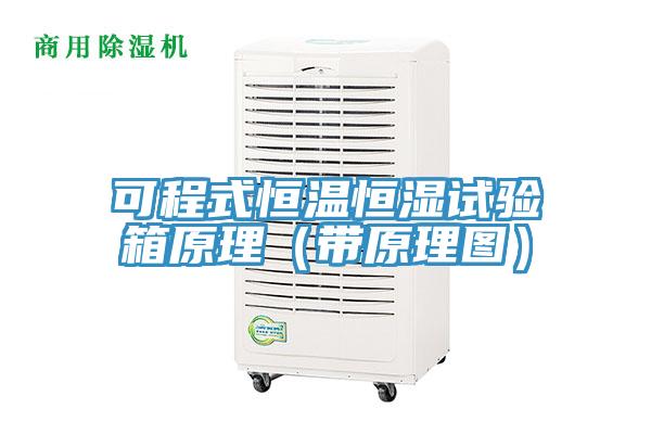 可程式恒温恒湿试验箱原理（带原理图）