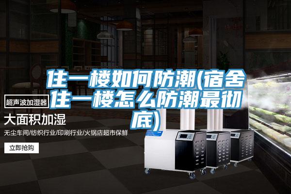 住一楼如何防潮(宿舍住一楼怎么防潮最彻底)