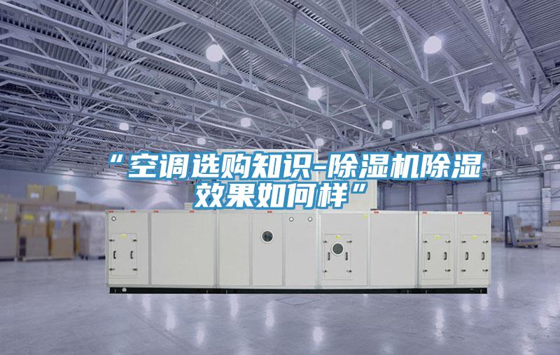 “空调选购知识-除湿机除湿效果如何样”