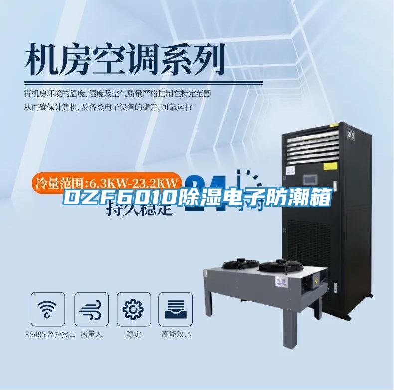 DZF6010除湿电子防潮箱