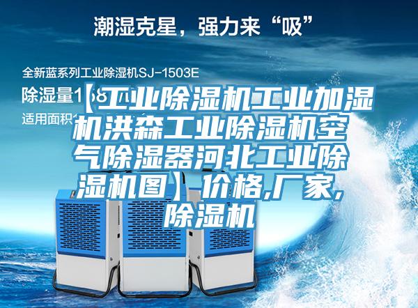 【工业除湿机工业加湿机洪森工业除湿机空气除湿器河北工业除湿机图】价格,厂家,除湿机