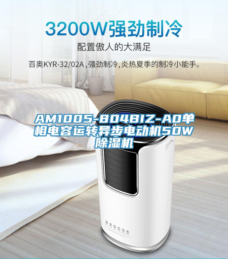 AM1005-804BIZ-A0单相电容运转异步电动机50W除湿机