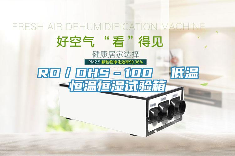 RD/DHS-100 低温恒温恒湿试验箱