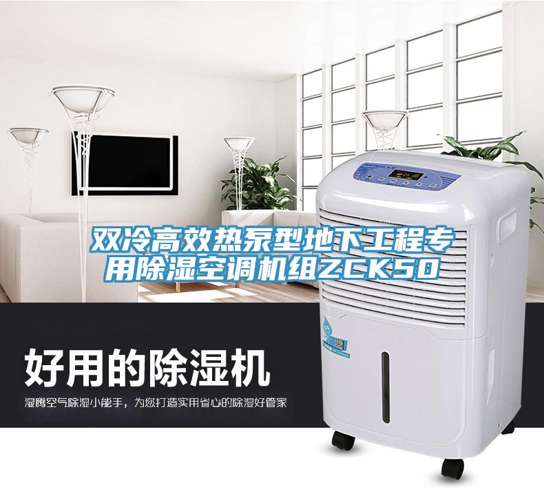 双冷高效热泵型地下工程专用除湿空调机组ZCK50