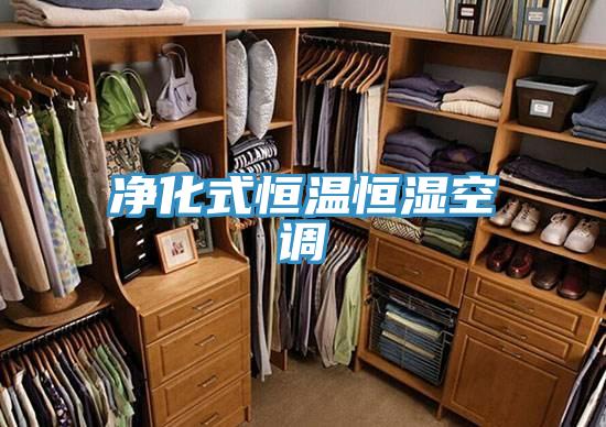 净化式恒温恒湿空调
