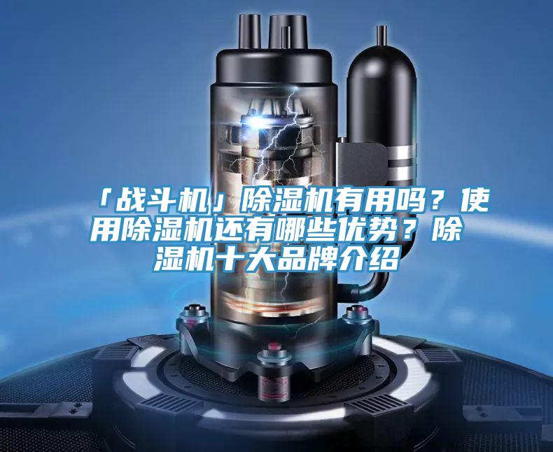 「战斗机」除湿机有用吗？使用除湿机还有哪些优势？除湿机十大品牌介绍