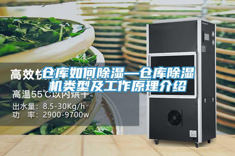 仓库如何除湿—仓库除湿机类型及工作原理介绍