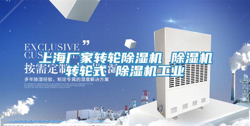 上海厂家转轮除湿机 除湿机转轮式 除湿机工业