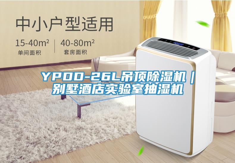 YPDD-26L吊顶除湿机｜别墅酒店实验室抽湿机