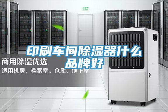印刷车间除湿器什么品牌好
