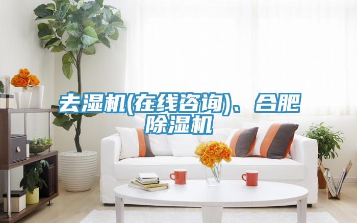 去湿机(在线咨询)、合肥除湿机