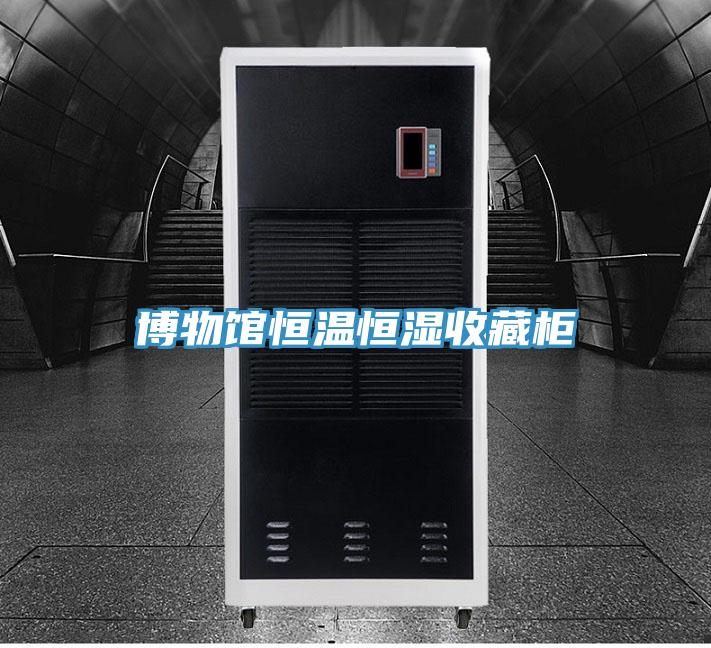 博物馆恒温恒湿收藏柜