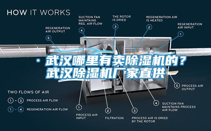 ·武汉哪里有卖除湿机的？武汉除湿机厂家直供