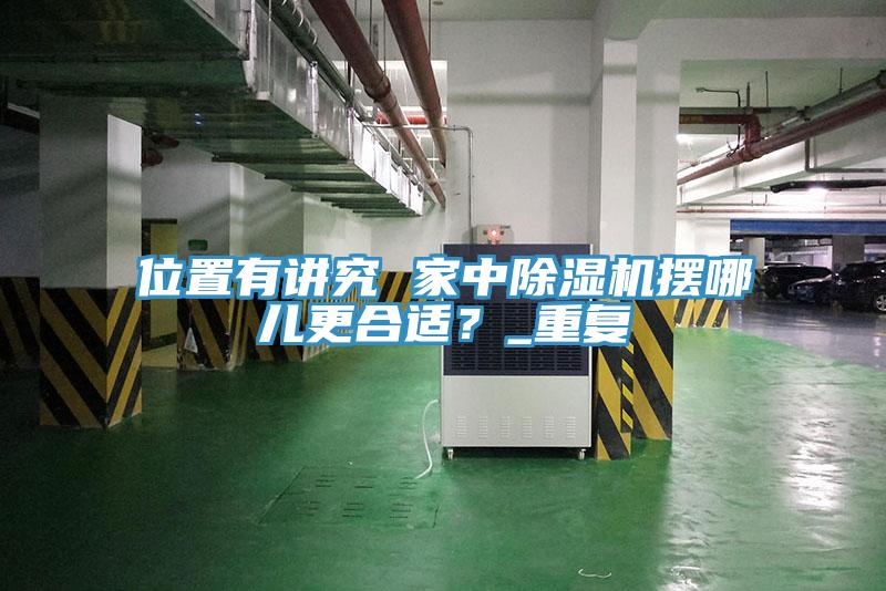 位置有讲究 家中除湿机摆哪儿更合适？_重复