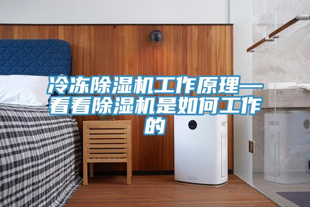 冷冻除湿机工作原理—看看除湿机是如何工作的