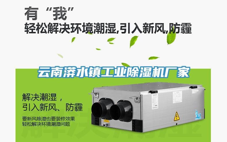 云南漭水镇工业除湿机厂家