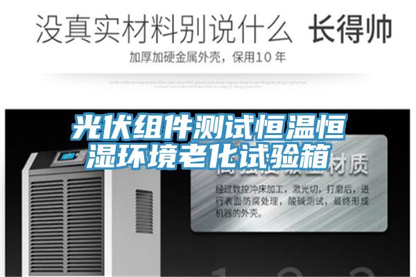 光伏组件测试恒温恒湿环境老化试验箱