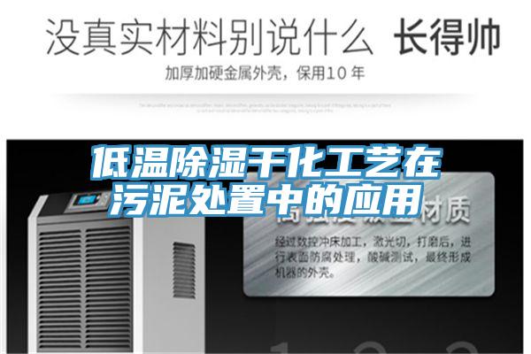 低温除湿干化工艺在污泥处置中的应用