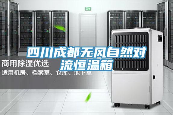 四川成都无风自然对流恒温箱