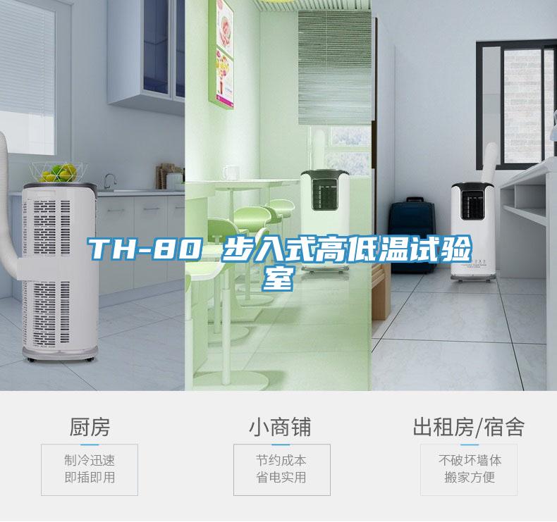 TH-80 步入式高低温试验室