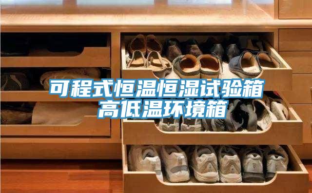 可程式恒温恒湿试验箱 高低温环境箱