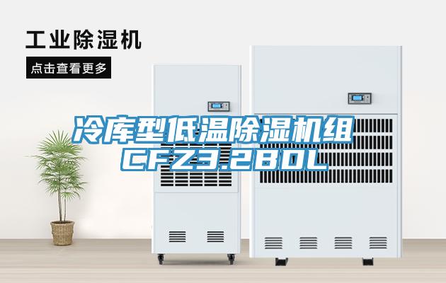 冷库型低温除湿机组 CFZ3.2BDL