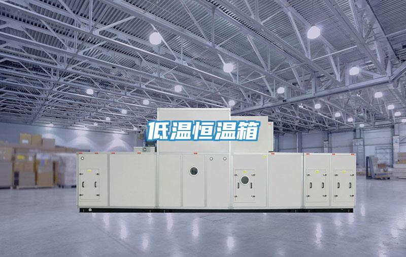 低温恒温箱
