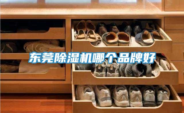 东莞除湿机哪个品牌好