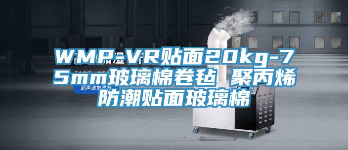 WMP-VR贴面20kg-75mm玻璃棉卷毡 聚丙烯防潮贴面玻璃棉