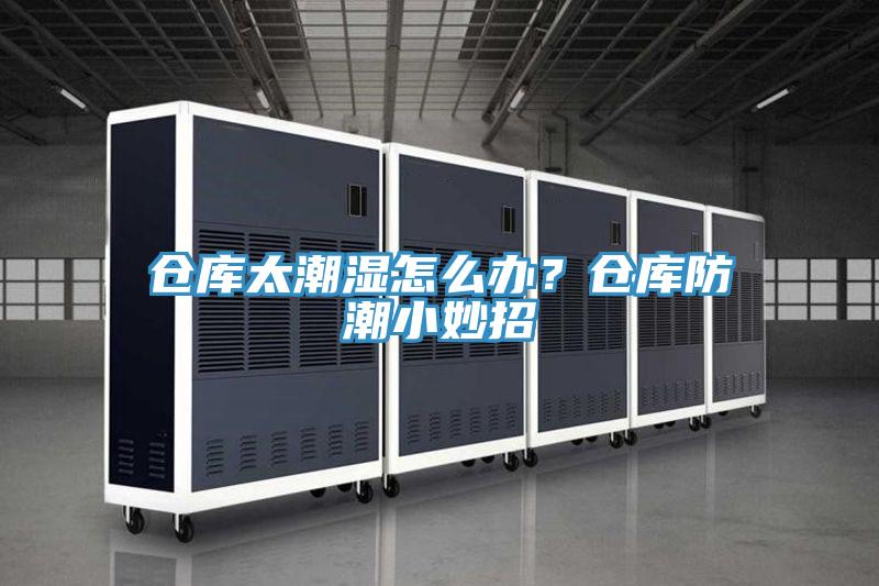 仓库太潮湿怎么办?仓库防潮小妙招