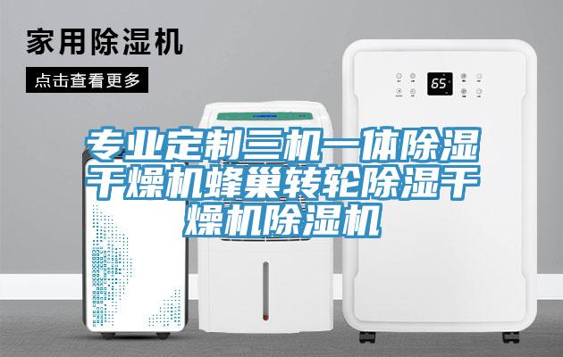 专业定制三机一体除湿干燥机蜂巢转轮除湿干燥机除湿机