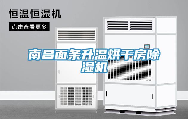 南昌面条升温烘干房除湿机