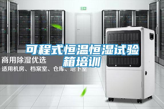 可程式恒温恒湿试验箱培训