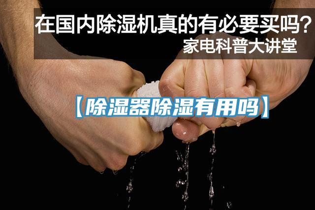 【除湿器除湿有用吗】