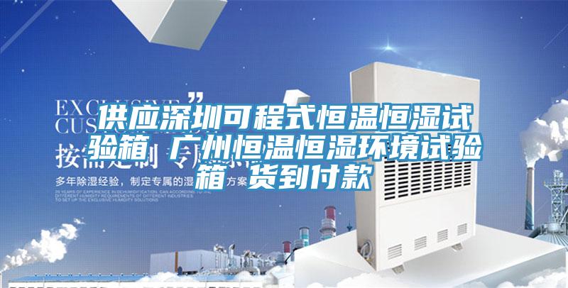 供应深圳可程式恒温恒湿试验箱 广州恒温恒湿环境试验箱 货到付款