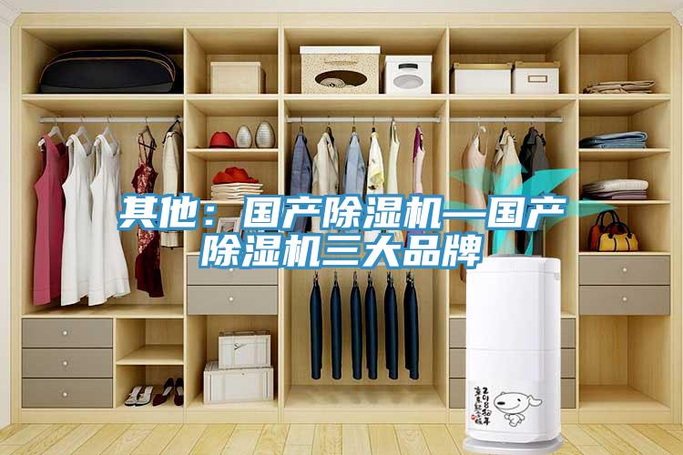 其他：国产除湿机—国产除湿机三大品牌