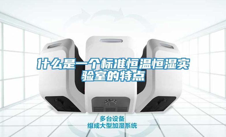 什么是一个标准恒温恒湿实验室的特点