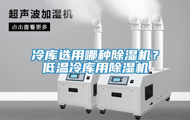 冷库选用哪种除湿机？低温冷库用除湿机