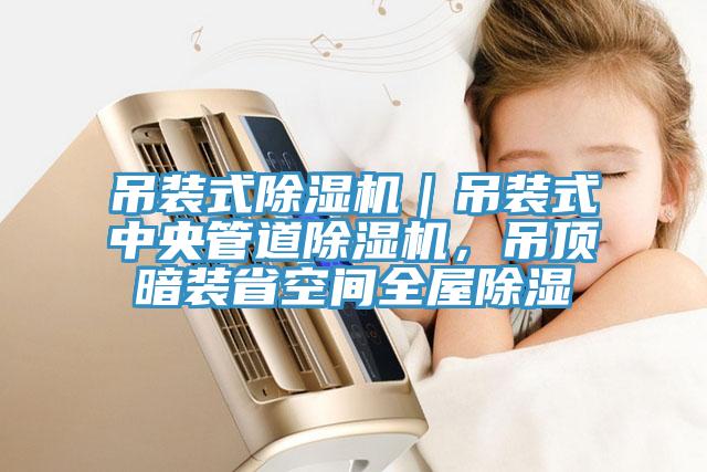 吊装式除湿机｜吊装式中央管道除湿机，吊顶暗装省空间全屋除湿