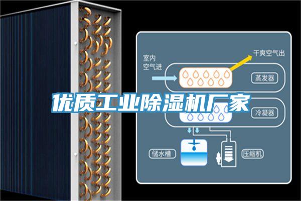 优质工业除湿机厂家