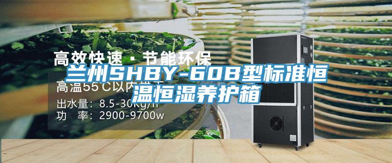 兰州SHBY-60B型标准恒温恒湿养护箱