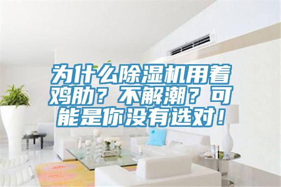 为什么除湿机用着鸡肋？不解潮？可能是你没有选对！