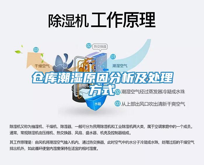 仓库潮湿原因分析及处理方式