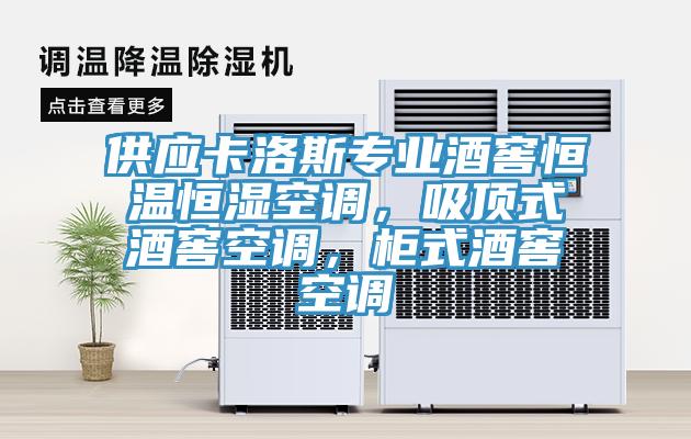 供应卡洛斯专业酒窖恒温恒湿空调，吸顶式酒窖空调，柜式酒窖空调