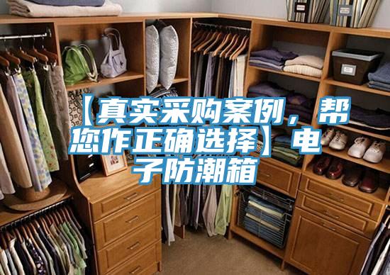 【真实采购案例，帮您作正确选择】电子防潮箱