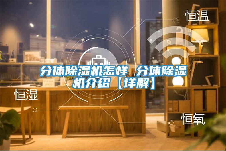 分体除湿机怎样 分体除湿机介绍【详解】