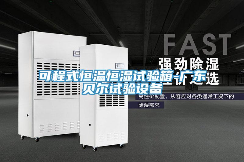 可程式恒温恒湿试验箱-广东贝尔试验设备