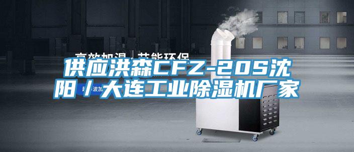 供应洪森CFZ-20S沈阳／大连工业除湿机厂家