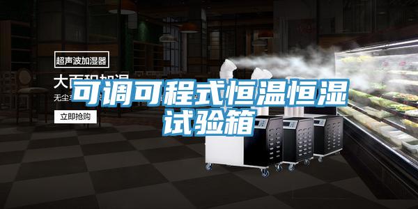 可调可程式恒温恒湿试验箱